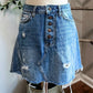 (4) Free People Denim Skirt