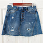 (4) Free People Denim Skirt