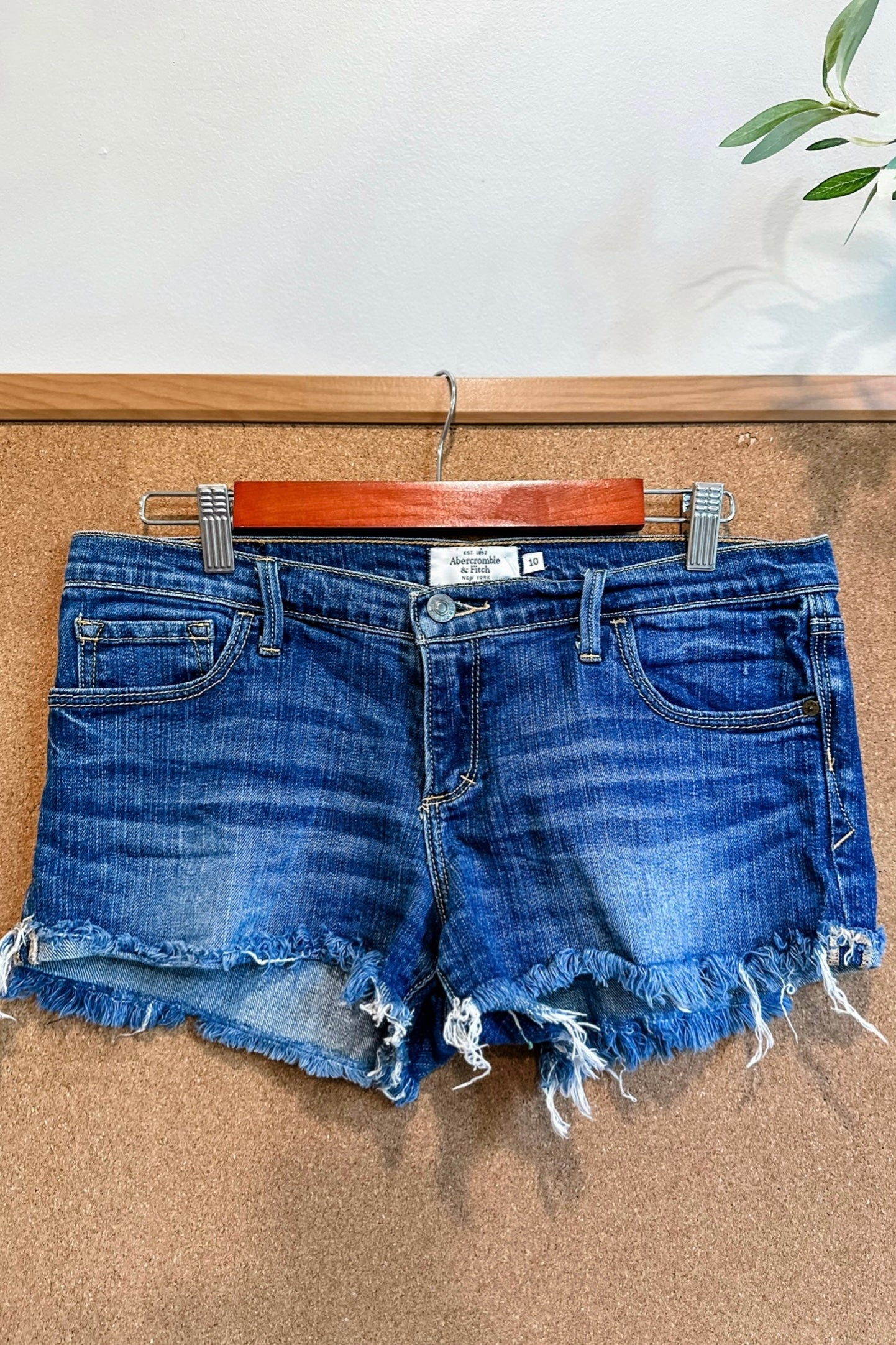 (10) Abercrombie & Fitch Denim Shorts