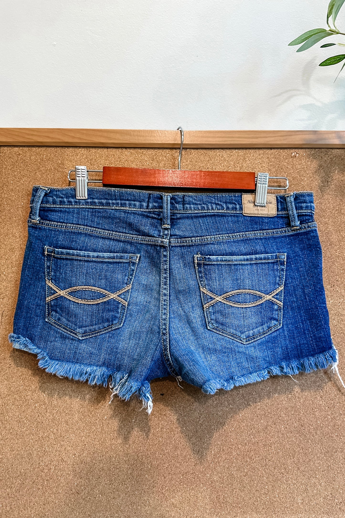 (10) Abercrombie & Fitch Denim Shorts