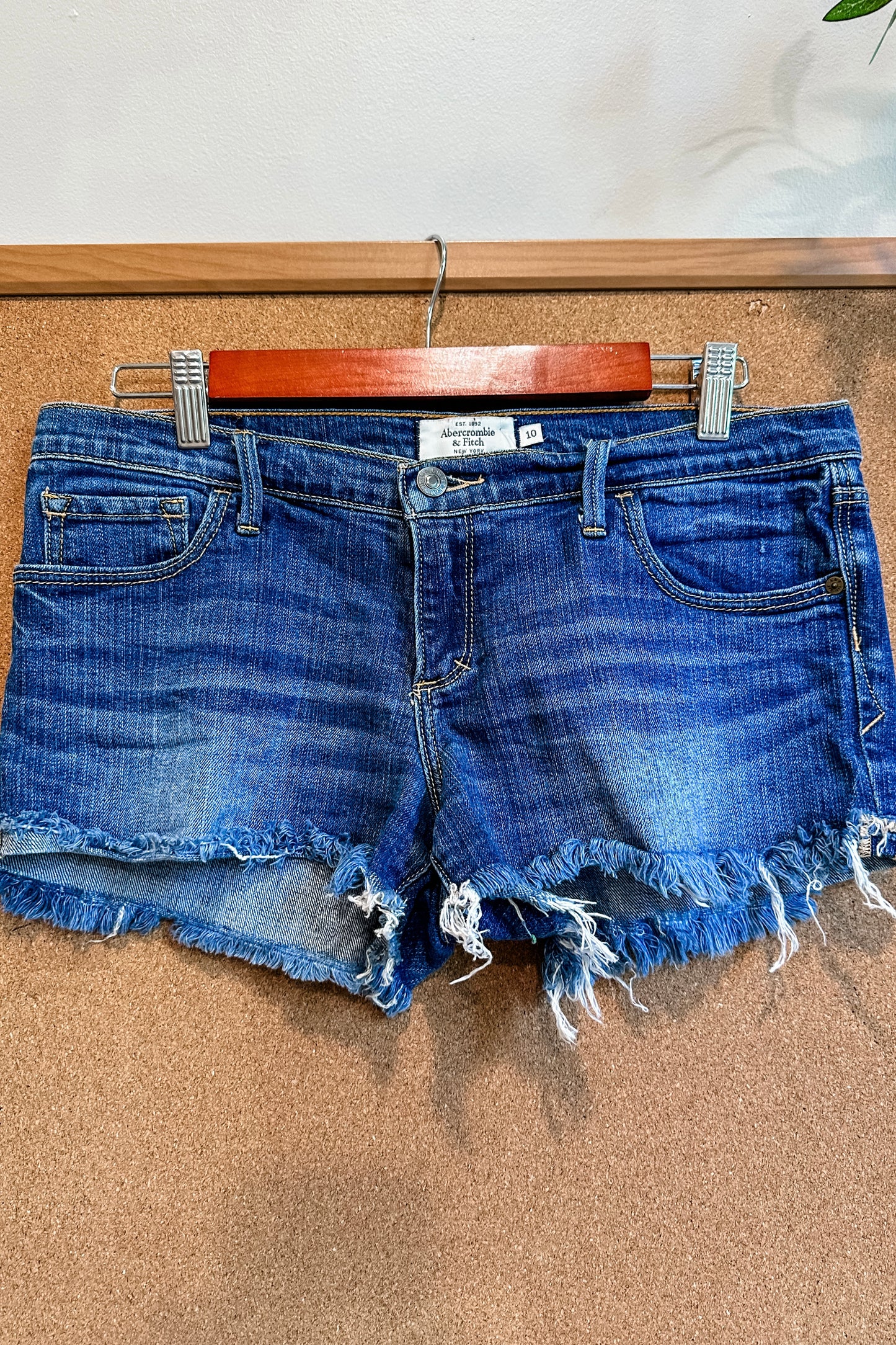 (10) Abercrombie & Fitch Denim Shorts