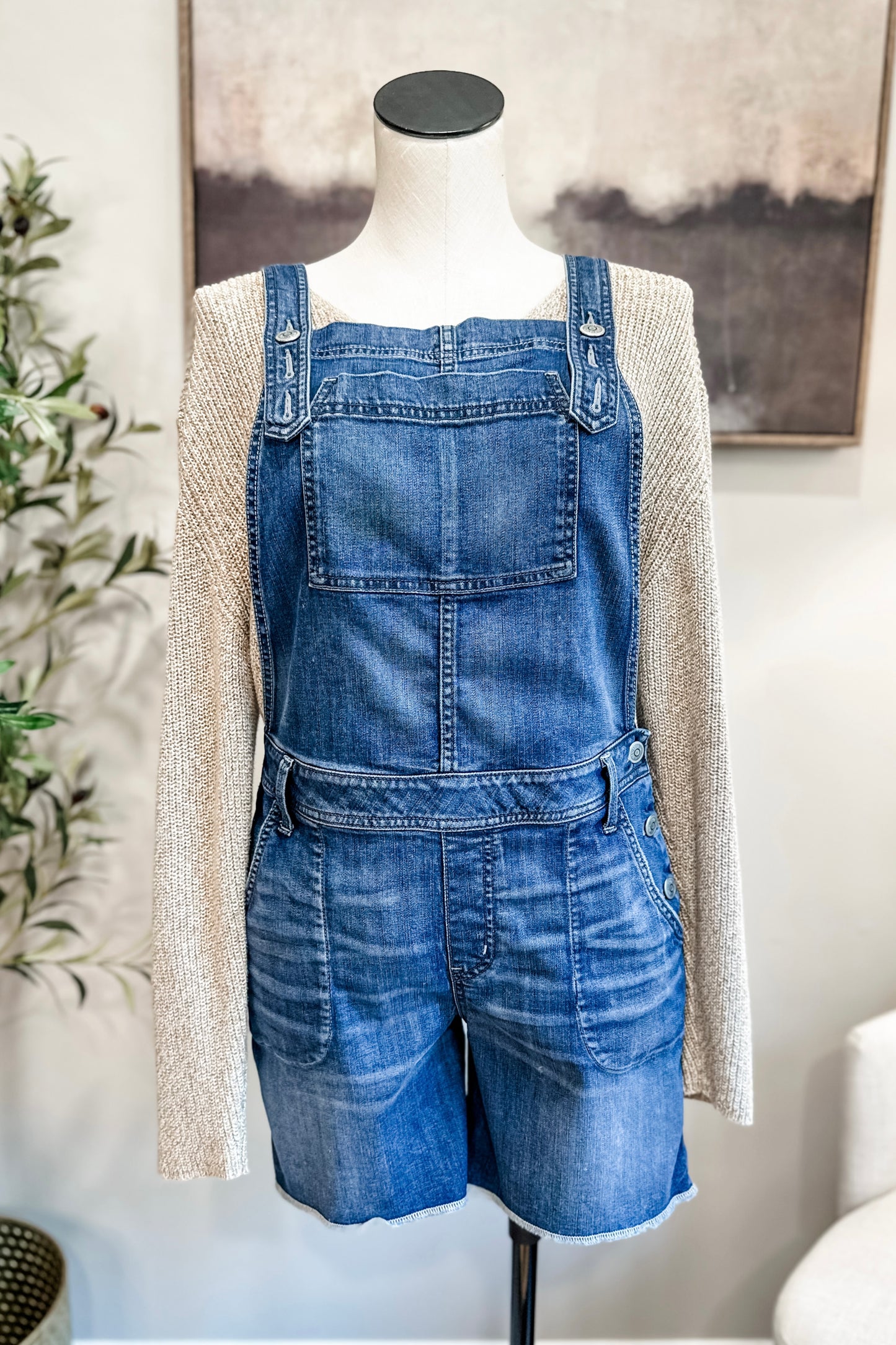 (L) Level 99 Denim Overalls