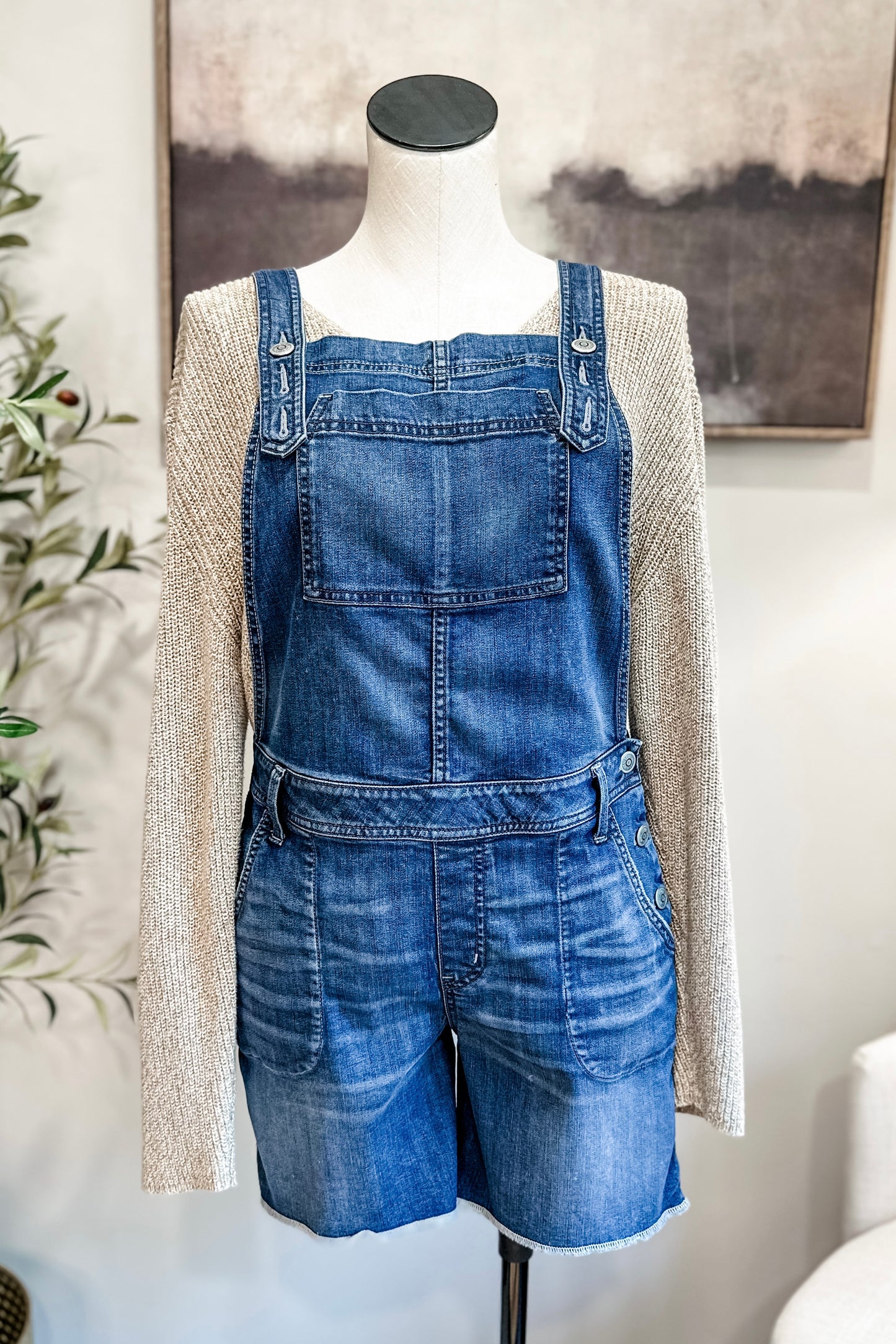 (L) Level 99 Denim Overalls