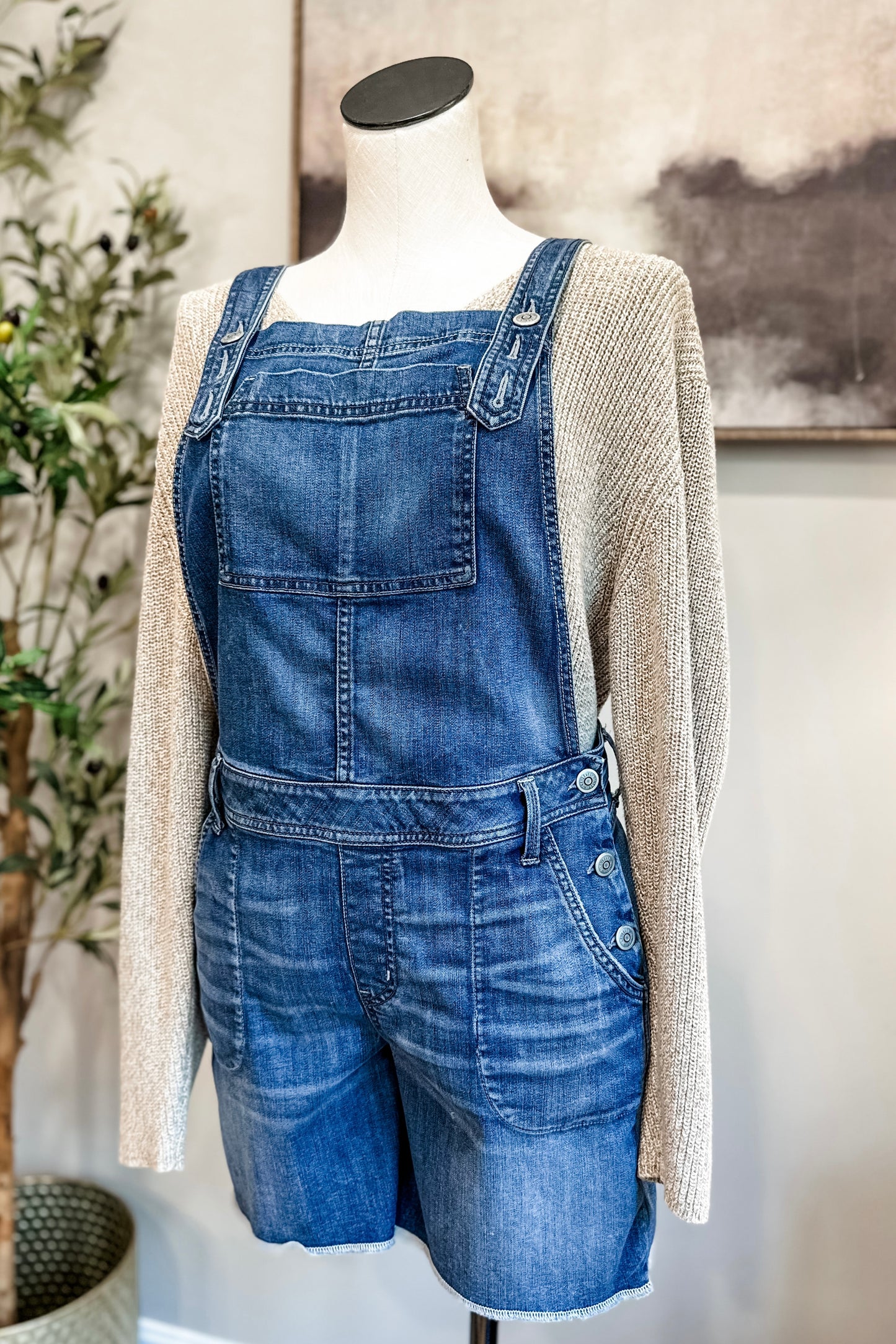 (L) Level 99 Denim Overalls