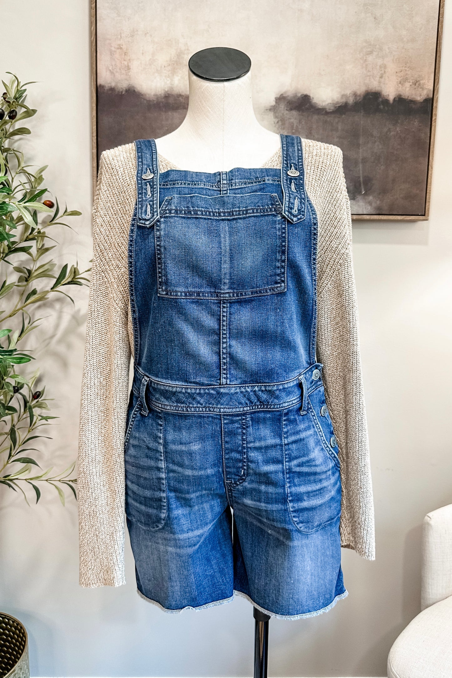 (L) Level 99 Denim Overalls