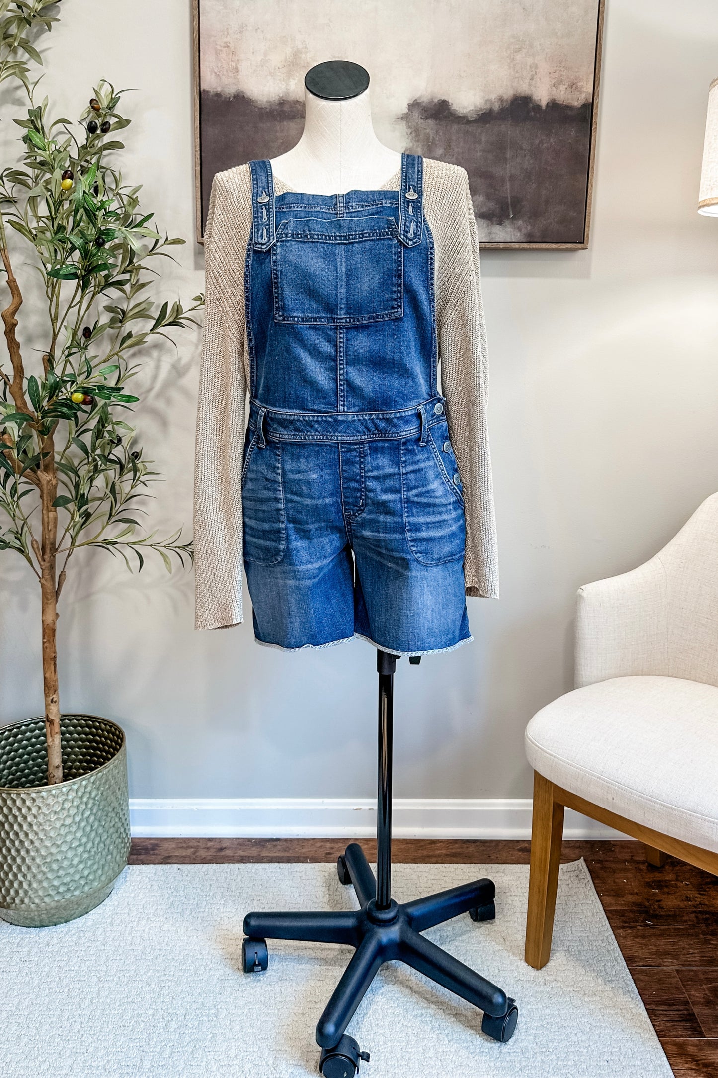 (L) Level 99 Denim Overalls