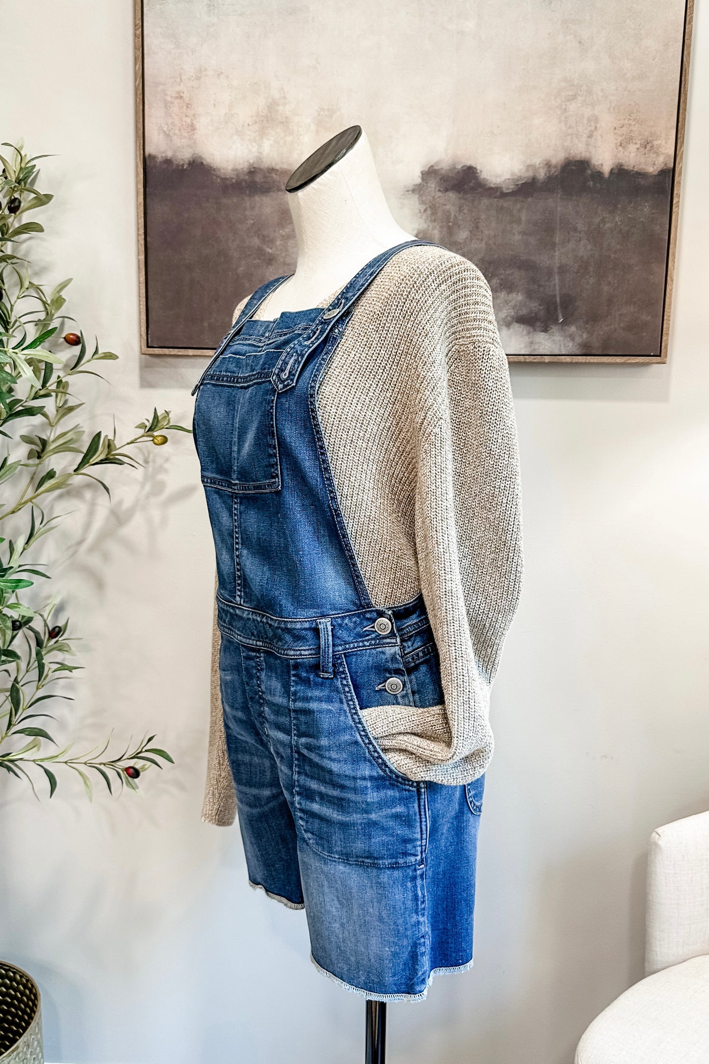 (L) Level 99 Denim Overalls