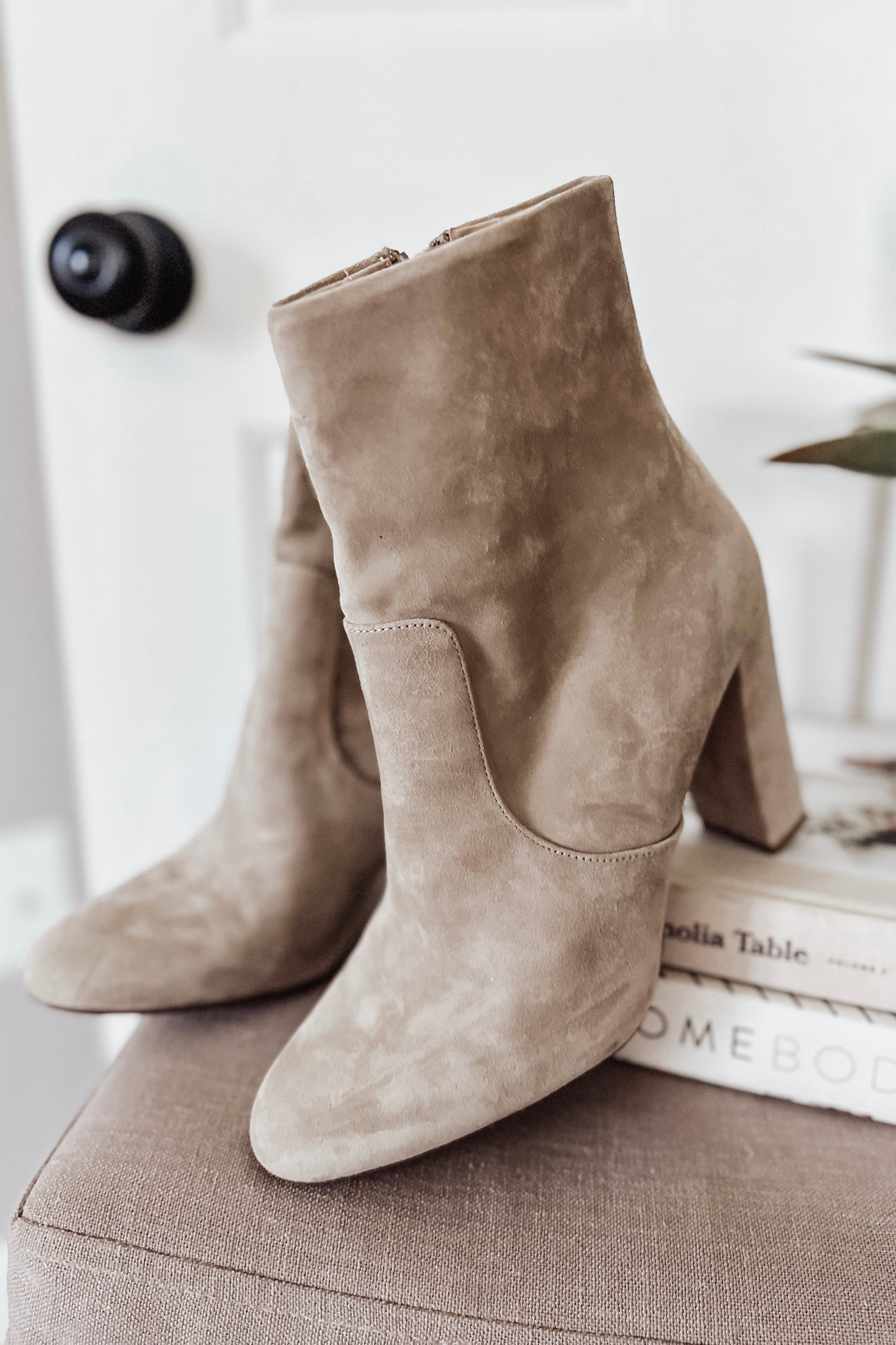 Steve madden edit clearance booties