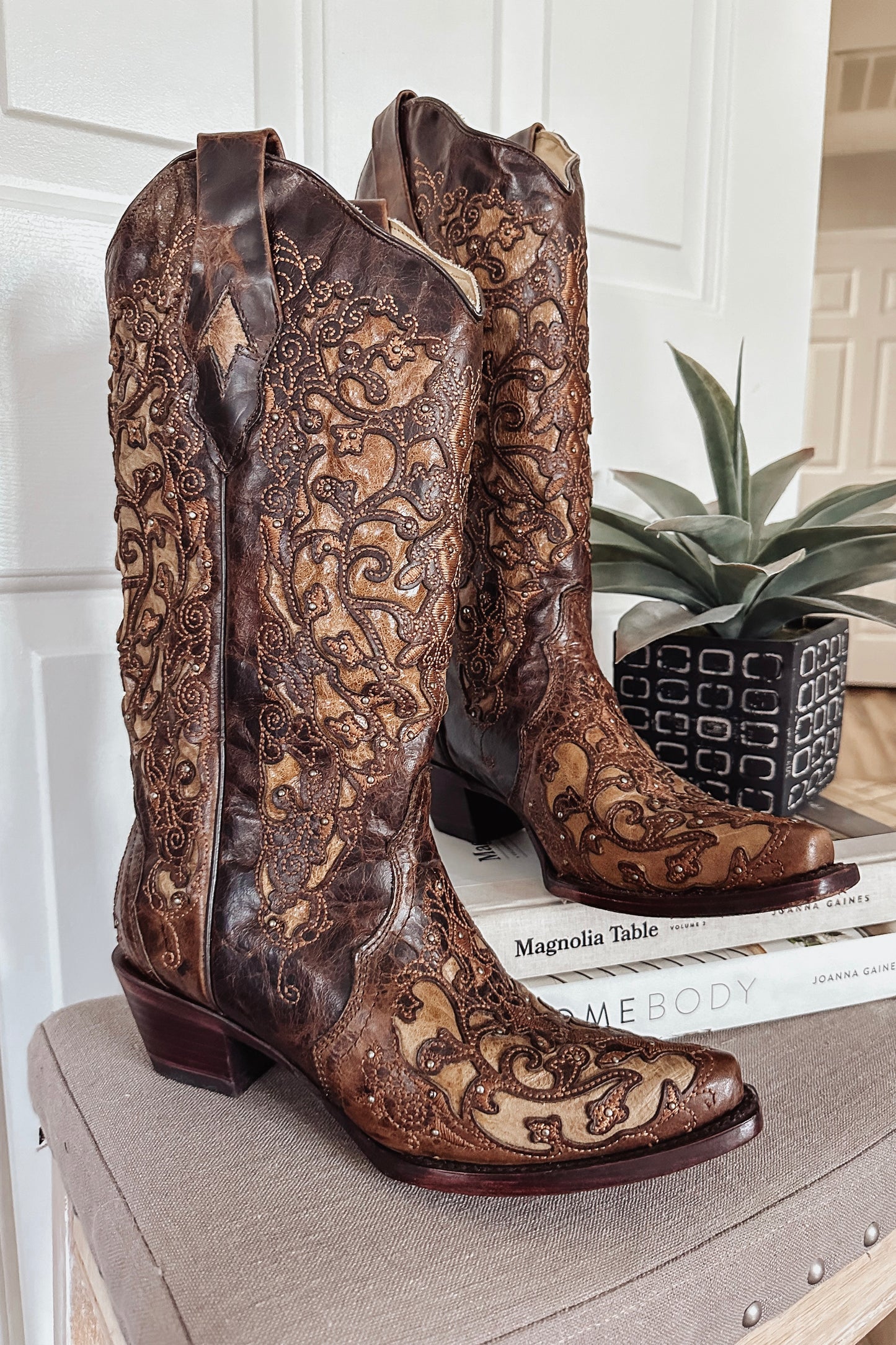 (7) Corral Cleopatra Boot